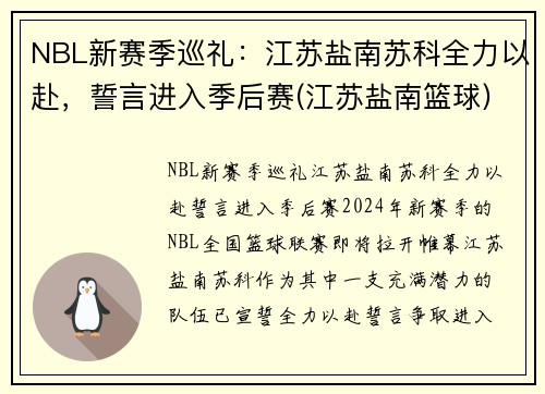 NBL新赛季巡礼：江苏盐南苏科全力以赴，誓言进入季后赛(江苏盐南篮球)