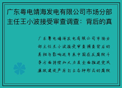 广东粤电靖海发电有限公司市场分部主任王小波接受审查调查：背后的真相与影响